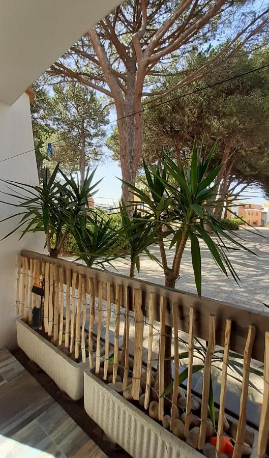 T2-3 Cabine Les Yuccas 200 M Plage Du Boucanet Rive Droite Grau Du Roi Ideal 2-4 Pers Le Grau-du-Roi Exterior foto