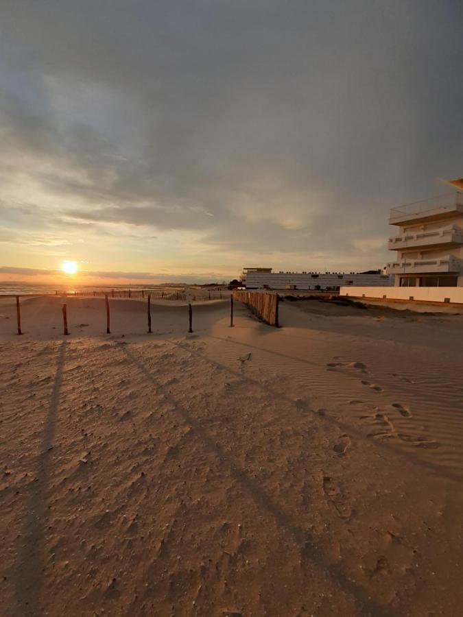 T2-3 Cabine Les Yuccas 200 M Plage Du Boucanet Rive Droite Grau Du Roi Ideal 2-4 Pers Le Grau-du-Roi Exterior foto